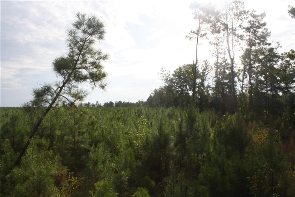 unimproved land for sale at 0 Balerma Church Road, Sparta, GA 31087 — photo 9