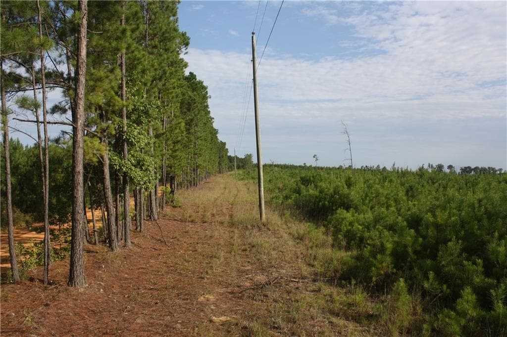 unimproved land for sale at 0 Balerma Church Road, Sparta, GA 31087 — photo 10