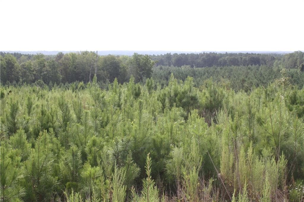 unimproved land for sale at 0 Balerma Church Road, Sparta, GA 31087 — photo 2
