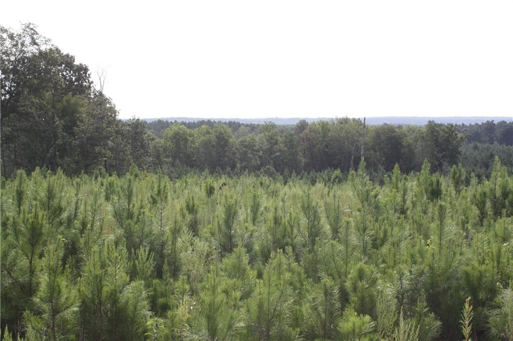 unimproved land for sale at 0 Balerma Church Road, Sparta, GA 31087 — photo 3