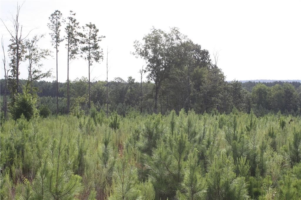 unimproved land for sale at 0 Balerma Church Road, Sparta, GA 31087 — photo 4
