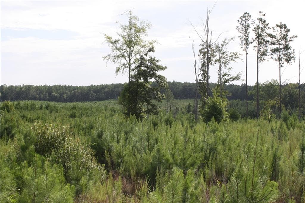 unimproved land for sale at 0 Balerma Church Road, Sparta, GA 31087 — photo 5