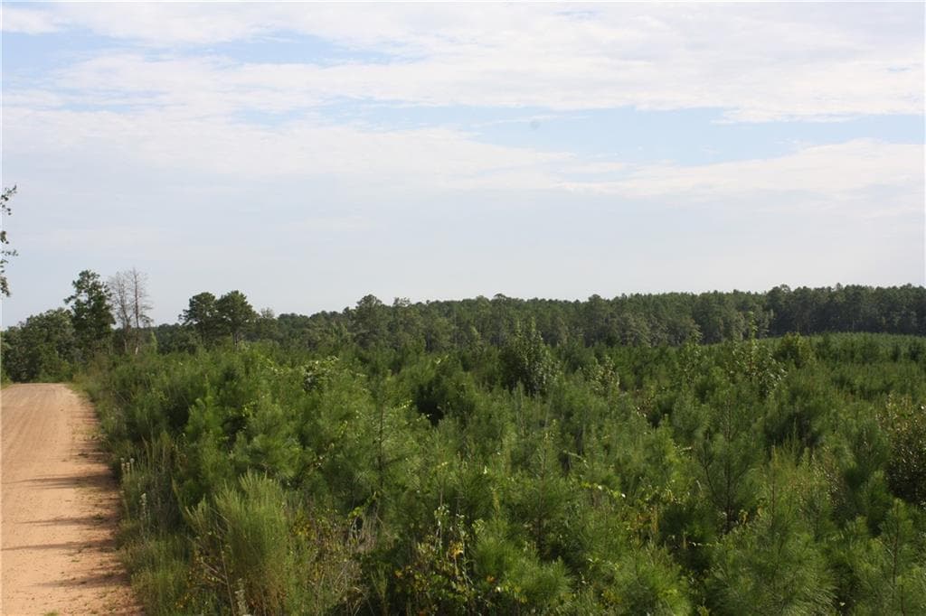 unimproved land for sale at 0 Balerma Church Road, Sparta, GA 31087 — photo 6
