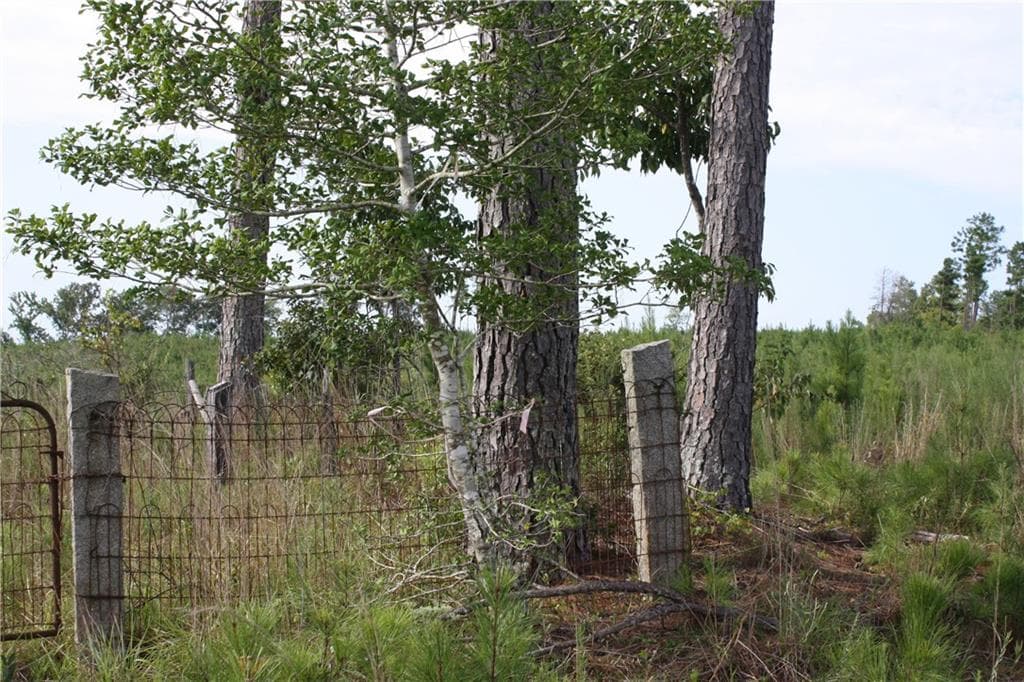 unimproved land for sale at 0 Balerma Church Road, Sparta, GA 31087 — photo 7