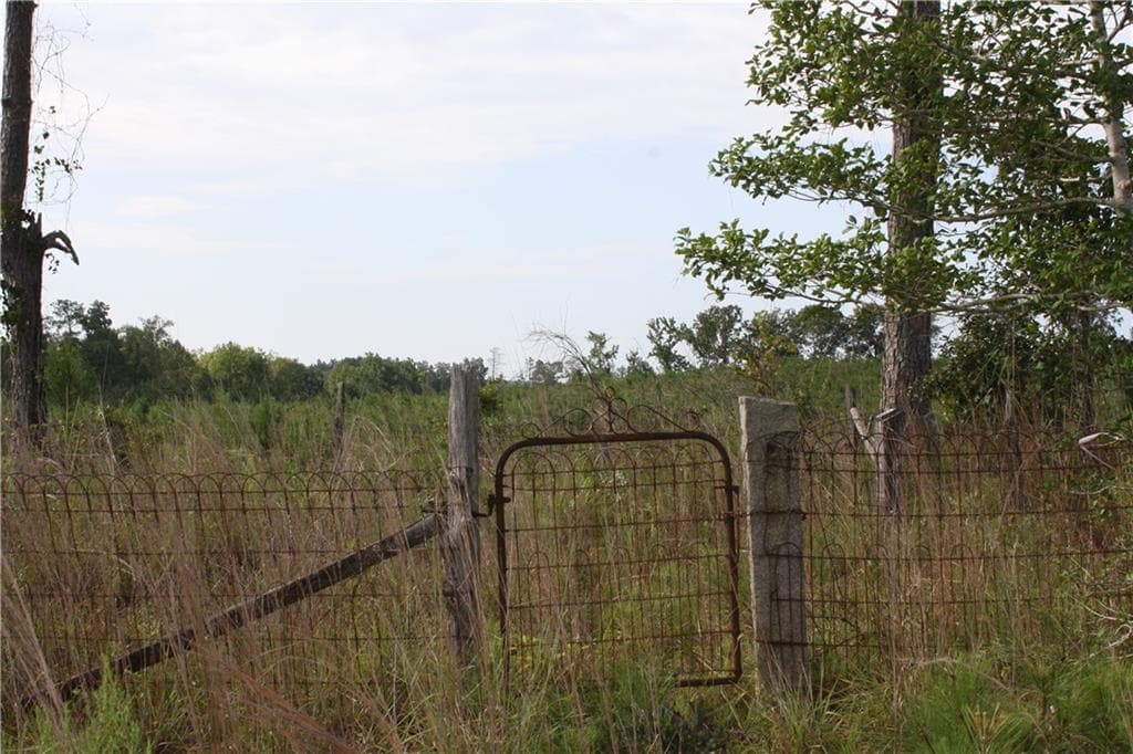 unimproved land for sale at 0 Balerma Church Road, Sparta, GA 31087 — photo 8