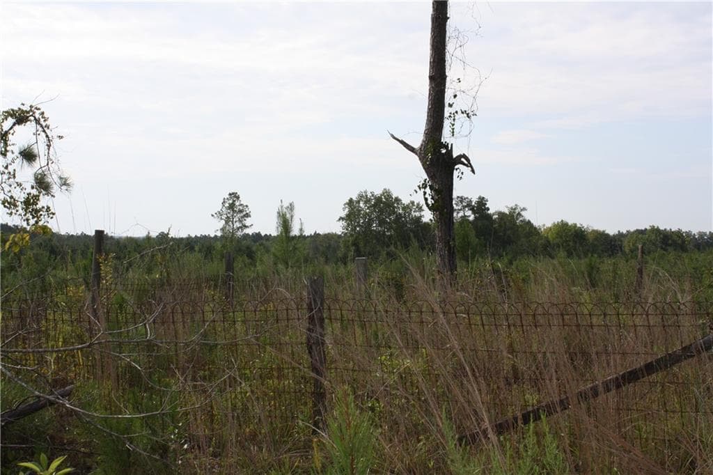 unimproved land for sale at 0 Balerma Church Road, Sparta, GA 31087 — photo 9
