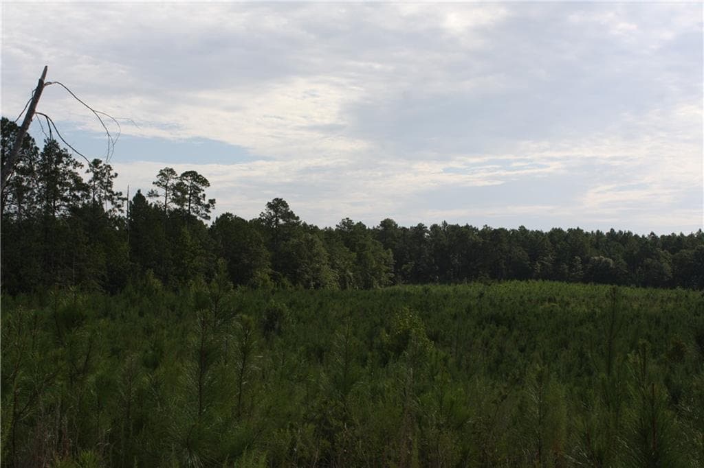 unimproved land for sale at 0 Balerma Church Road, Sparta, GA 31087 — photo 10