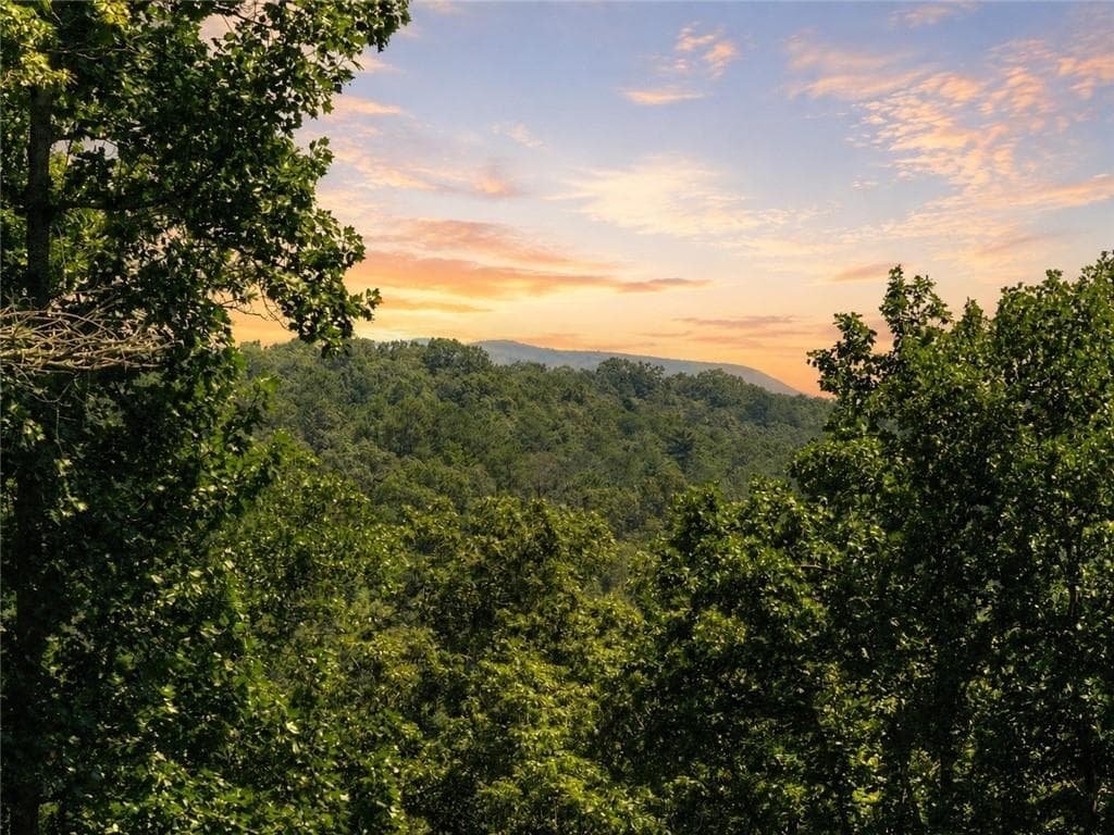 2 bedroom, 2 bathroom, 2,136 sq ft single family residence for sale at 196 N Jakes Landing Way, Ellijay, GA 30540 — photo 4