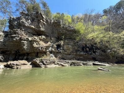 unimproved land for sale at 0 Elk Trail, Talking Rock, GA 30175 — photo 3