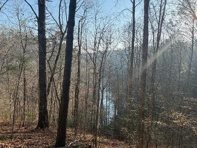 unimproved land for sale at 0 Elk Trail, Talking Rock, GA 30175 — photo 4