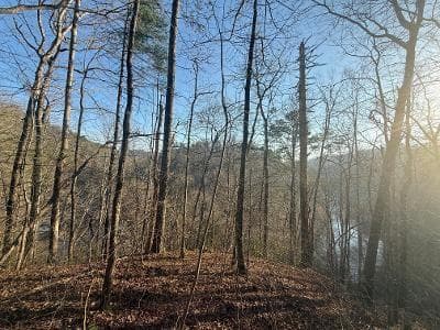 unimproved land for sale at 0 Elk Trail, Talking Rock, GA 30175 — photo 5