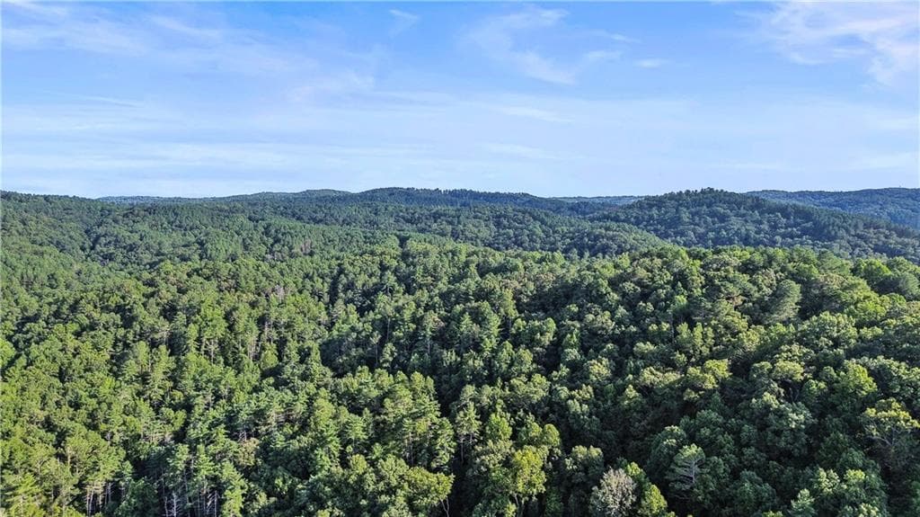 unimproved land for sale at 0 Elk Trail, Talking Rock, GA 30175 — photo 6