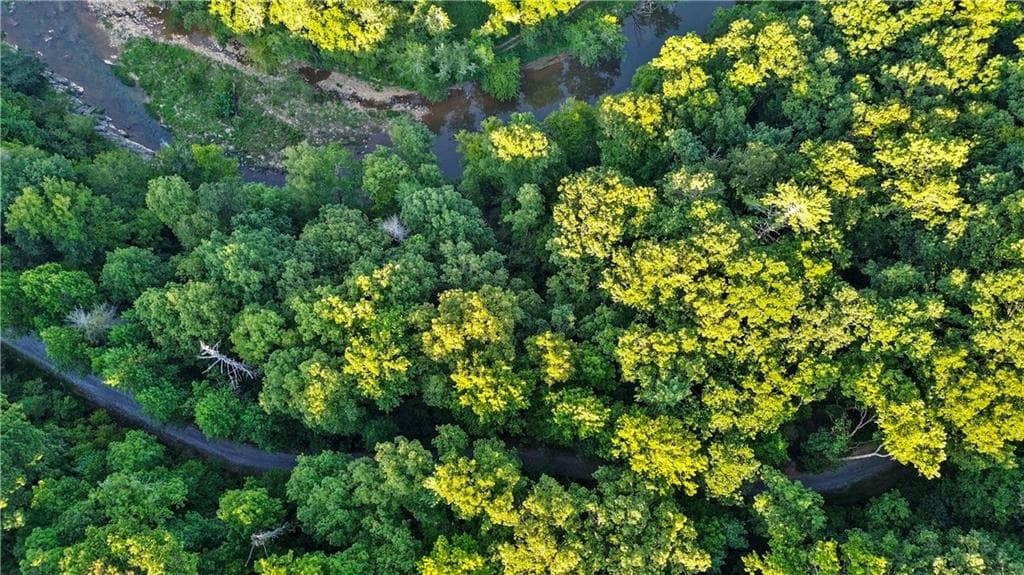 unimproved land for sale at 0 Elk Trail, Talking Rock, GA 30175 — photo 7