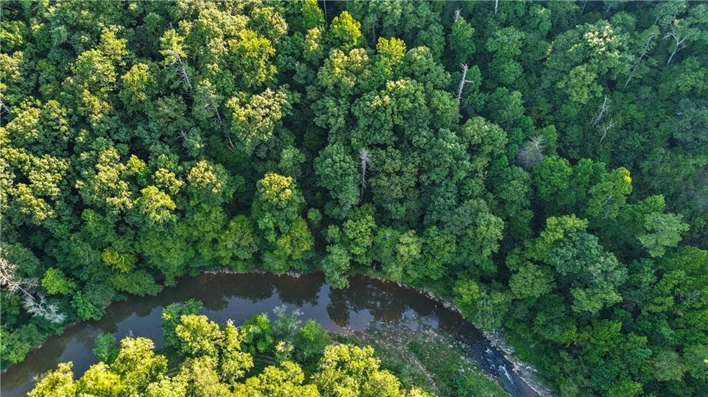unimproved land for sale at 0 Elk Trail, Talking Rock, GA 30175 — photo 8