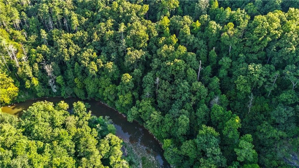 unimproved land for sale at 0 Elk Trail, Talking Rock, GA 30175 — photo 9
