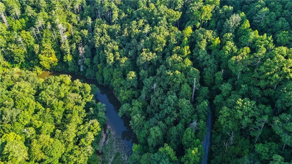 unimproved land for sale at 0 Elk Trail, Talking Rock, GA 30175 — photo 10
