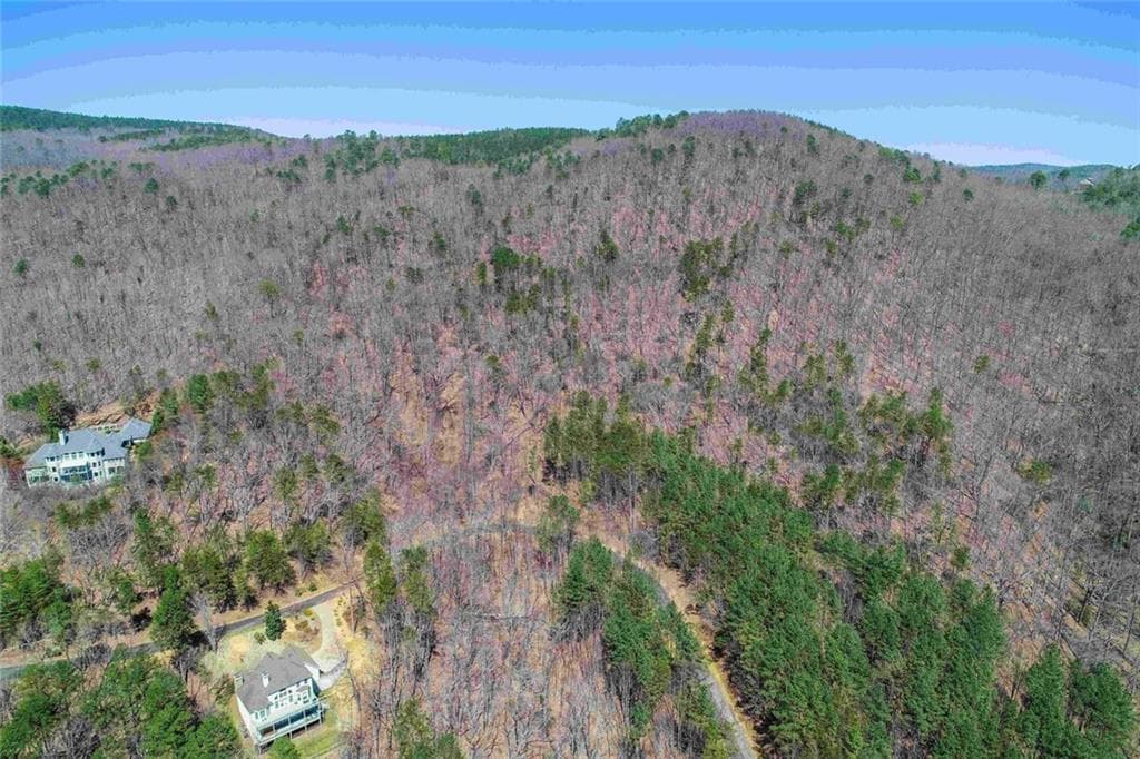 unimproved land for sale at 456 Yates Circle, Clarkesville, GA 30523 — photo 2