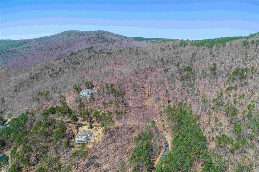 unimproved land for sale at 456 Yates Circle, Clarkesville, GA 30523 — photo 4