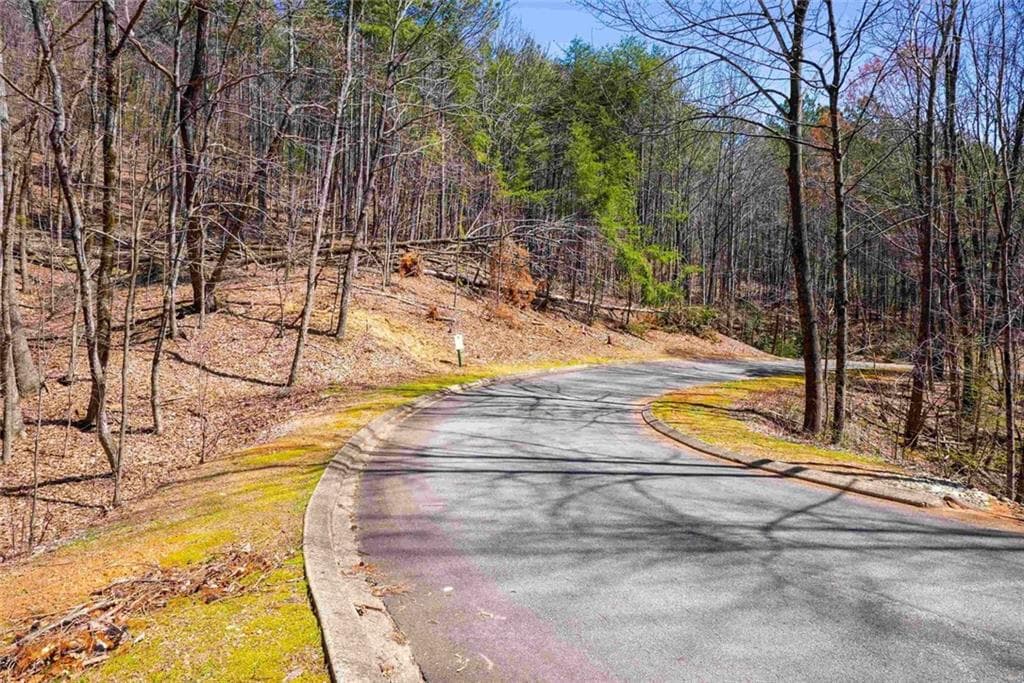 unimproved land for sale at 456 Yates Circle, Clarkesville, GA 30523 — photo 5