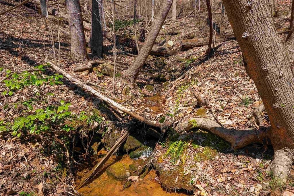 unimproved land for sale at 456 Yates Circle, Clarkesville, GA 30523 — photo 6