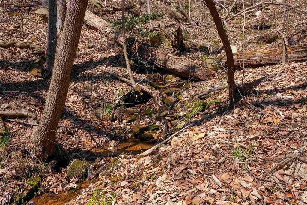 unimproved land for sale at 456 Yates Circle, Clarkesville, GA 30523 — photo 7