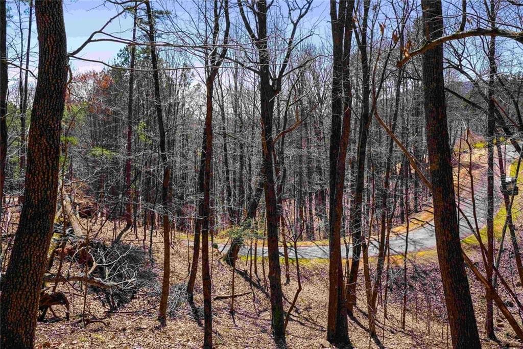 unimproved land for sale at 456 Yates Circle, Clarkesville, GA 30523 — photo 8