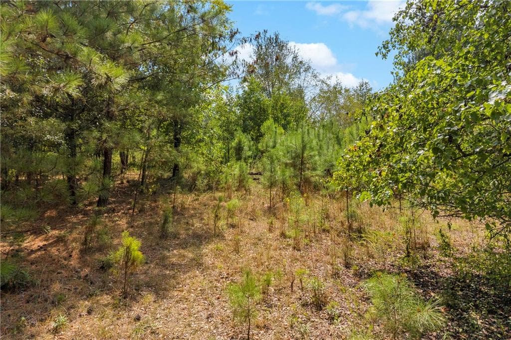 single family residence for sale at 0 Poplar Road, Commerce, GA 30529 — photo 8