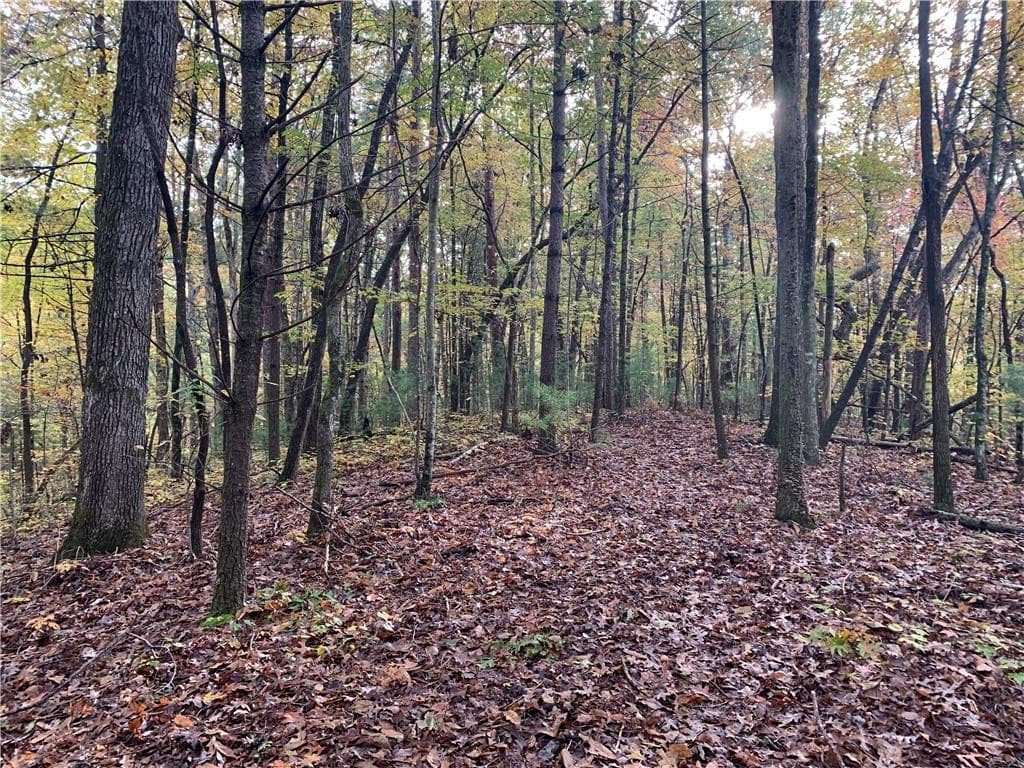 single family residence for sale at 9 Dover Falls Trail, Ellijay, GA 30540 — photo 3