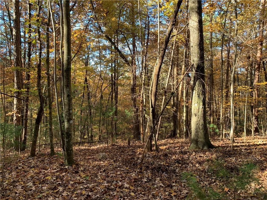 single family residence for sale at 9 Dover Falls Trail, Ellijay, GA 30540 — photo 4