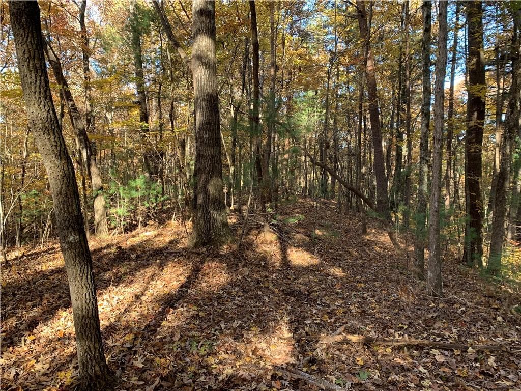 single family residence for sale at 9 Dover Falls Trail, Ellijay, GA 30540 — photo 6