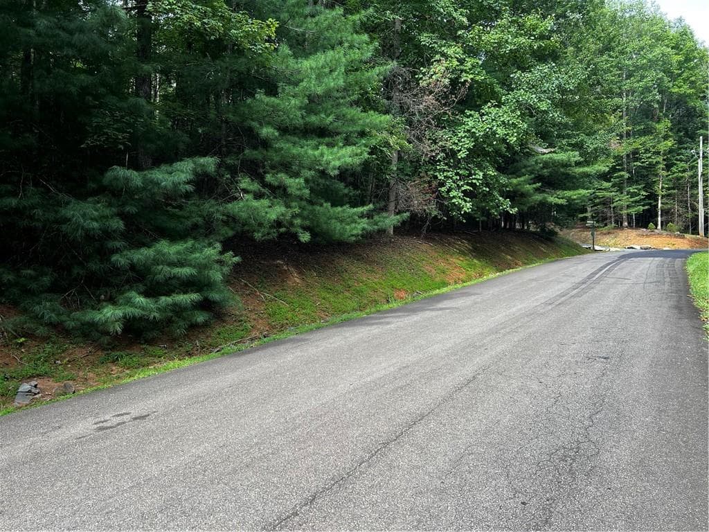 single family residence for sale at 9 Dover Falls Trail, Ellijay, GA 30540 — photo 7