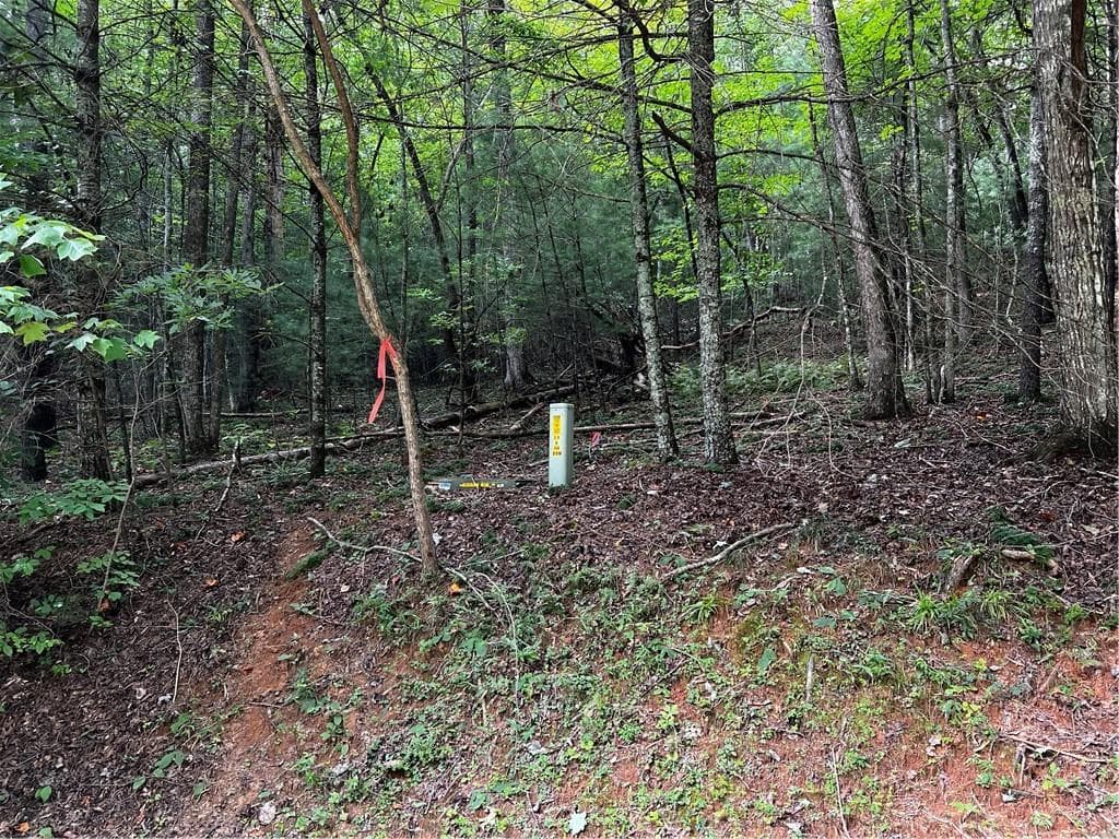 single family residence for sale at 9 Dover Falls Trail, Ellijay, GA 30540 — photo 8