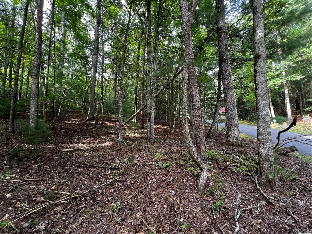 single family residence for sale at 9 Dover Falls Trail, Ellijay, GA 30540 — photo 10