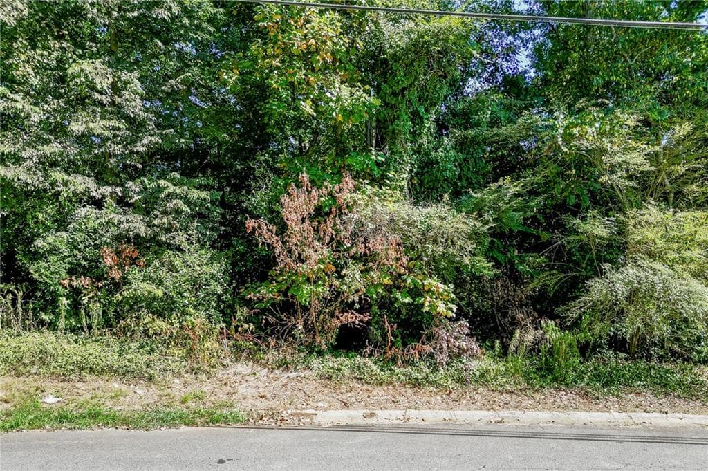 unimproved land for sale at 0 Golden Circle, Lilburn, GA 30047 — photo 4