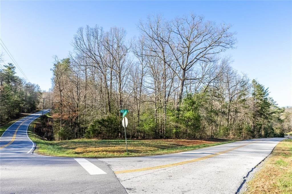 unimproved land for sale at 0 Adair Mill, Cleveland, GA 30528 — photo 2