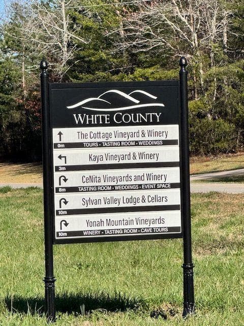 unimproved land for sale at 0 Adair Mill, Cleveland, GA 30528 — photo 3