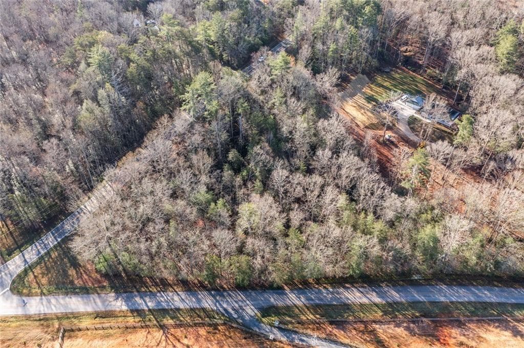 unimproved land for sale at 0 Adair Mill, Cleveland, GA 30528 — photo 4