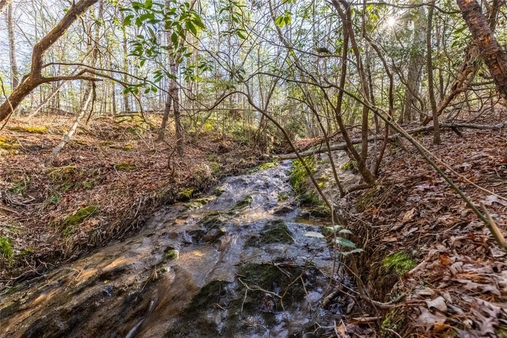 unimproved land for sale at 0 Adair Mill, Cleveland, GA 30528 — photo 5