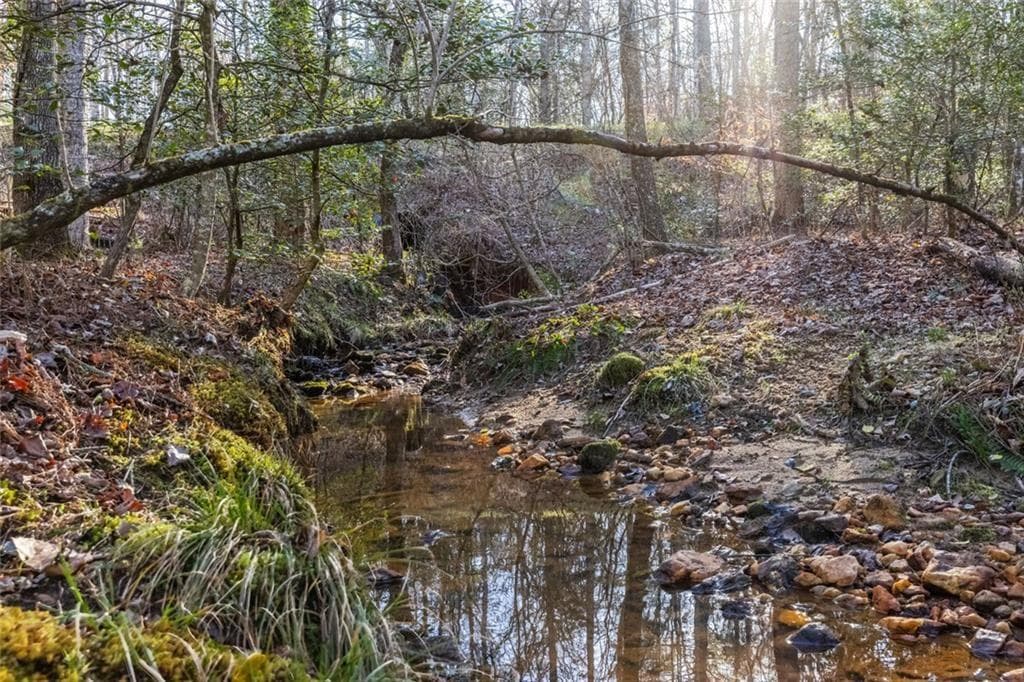 unimproved land for sale at 0 Adair Mill, Cleveland, GA 30528 — photo 6