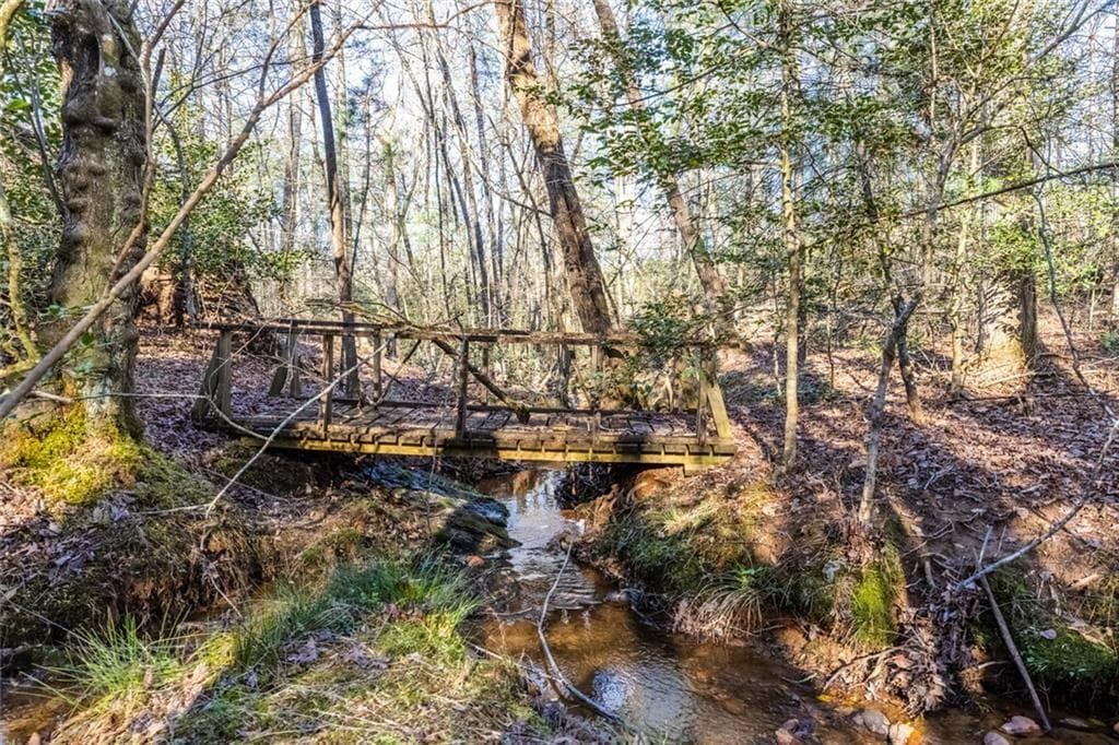unimproved land for sale at 0 Adair Mill, Cleveland, GA 30528 — photo 7
