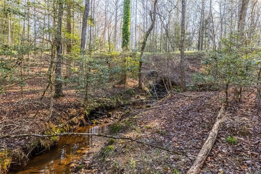 unimproved land for sale at 0 Adair Mill, Cleveland, GA 30528 — photo 8