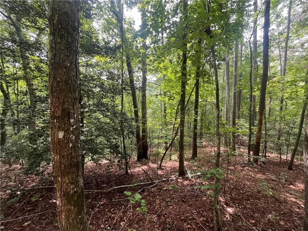 unimproved land under contract at 0 Nugget Court, Ellijay, GA 30540 — photo 2