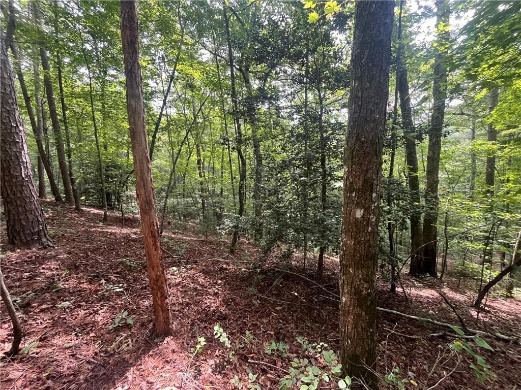 unimproved land under contract at 0 Nugget Court, Ellijay, GA 30540 — photo 3