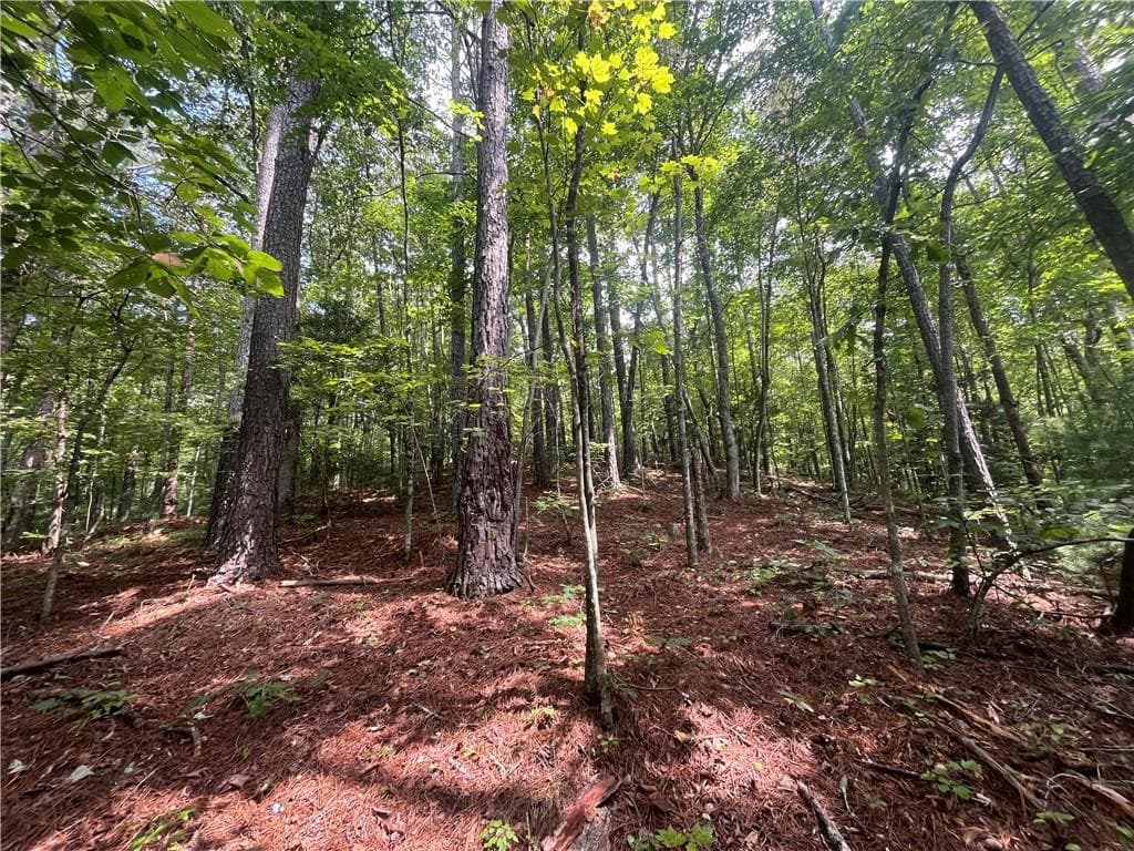 unimproved land under contract at 0 Nugget Court, Ellijay, GA 30540 — photo 4