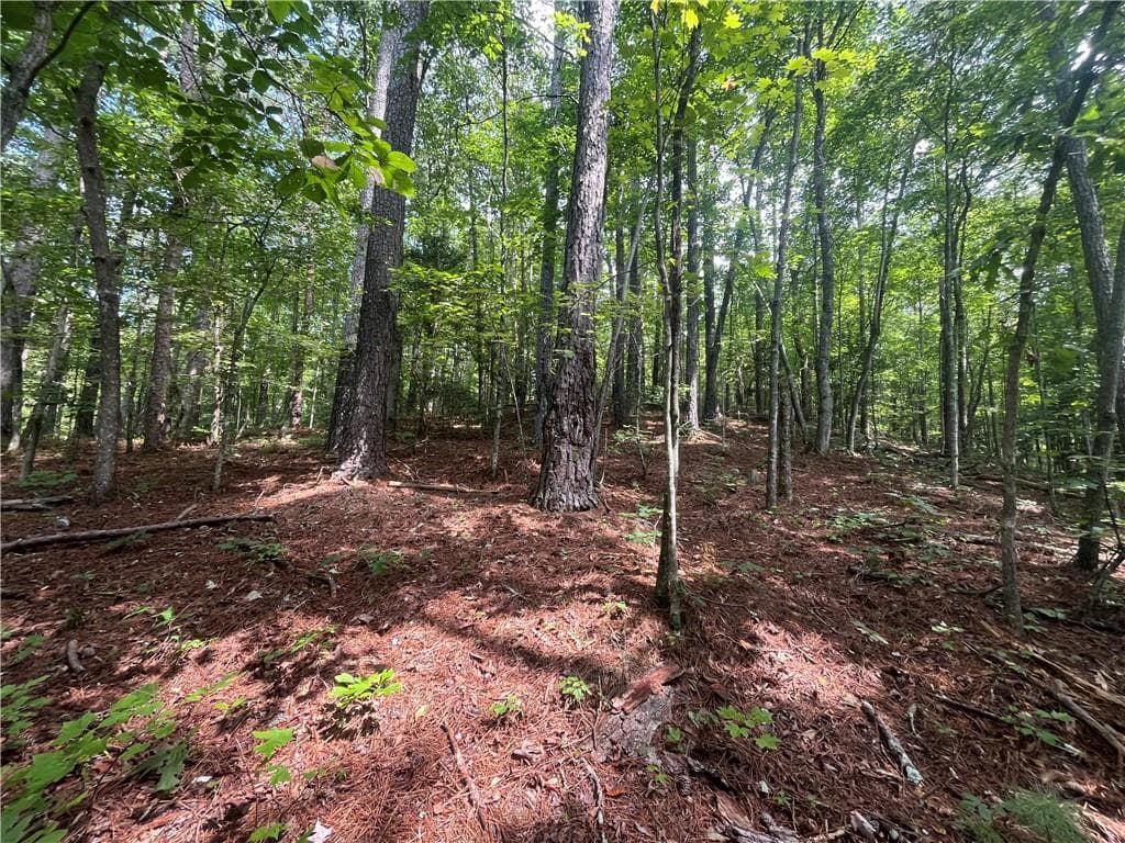 unimproved land under contract at 0 Nugget Court, Ellijay, GA 30540 — photo 5