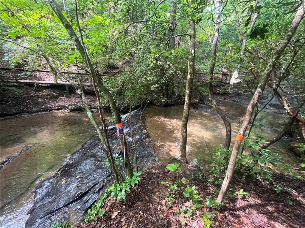 unimproved land under contract at 0 Nugget Court, Ellijay, GA 30540 — photo 8
