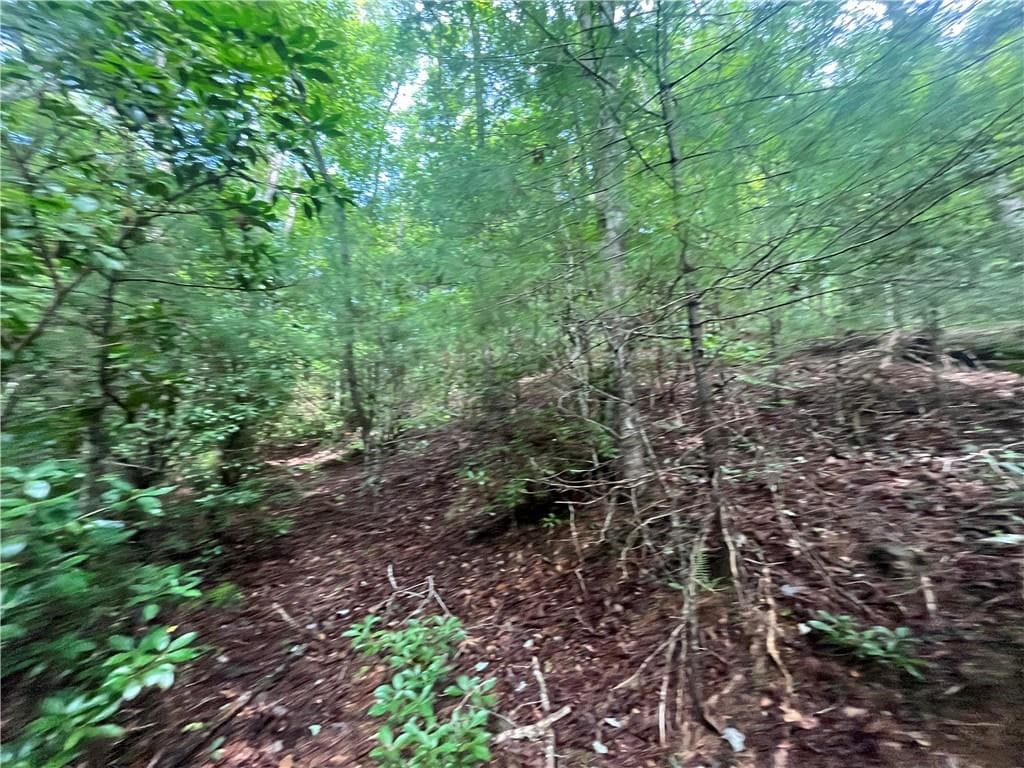 unimproved land under contract at 0 Nugget Court, Ellijay, GA 30540 — photo 9