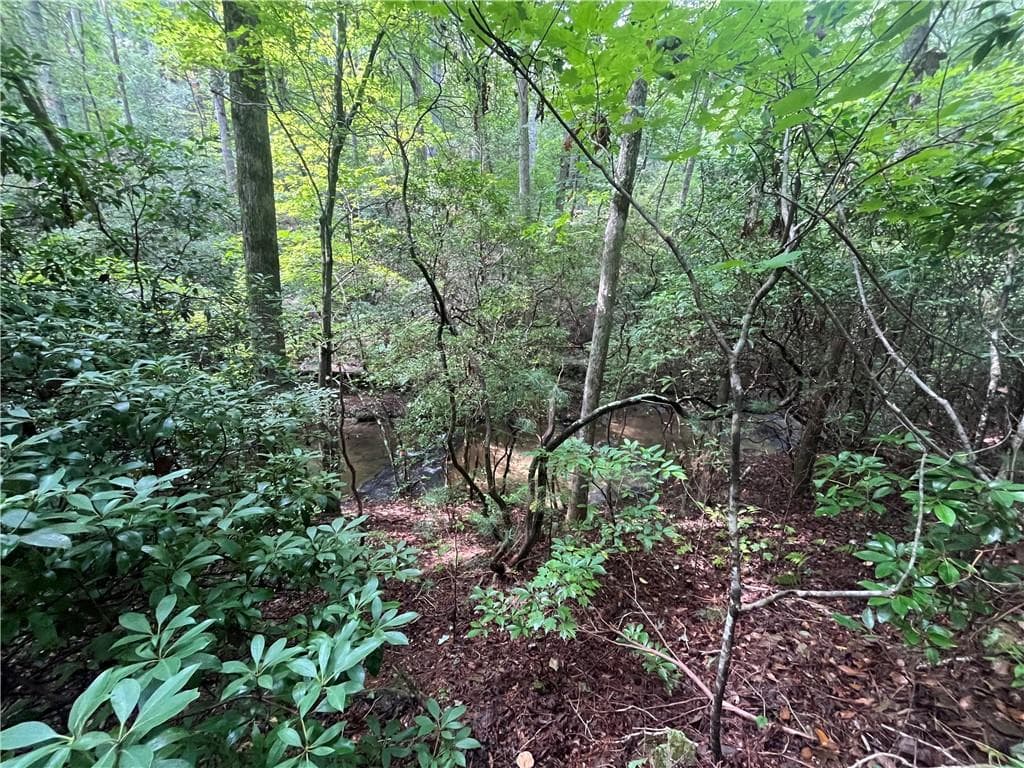 unimproved land under contract at 0 Nugget Court, Ellijay, GA 30540 — photo 10