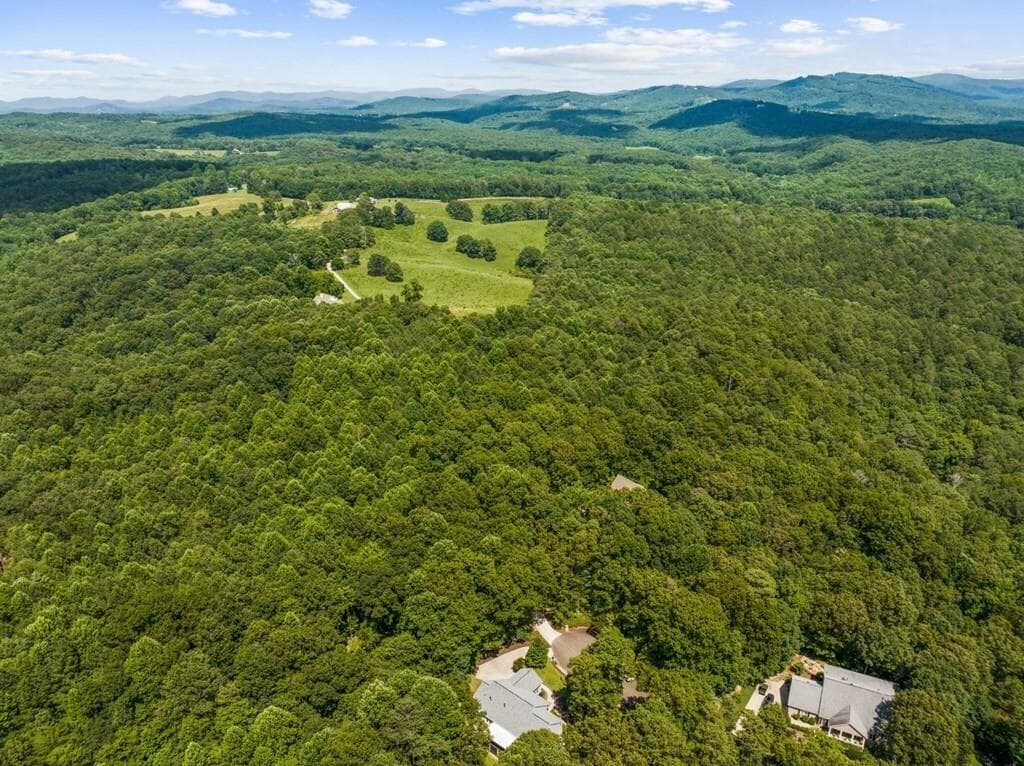 4 bedroom, 3 bathroom, 3,950 sq ft single family residence for sale at 45 Hemlock Court, Talking Rock, GA 30175 — photo 10