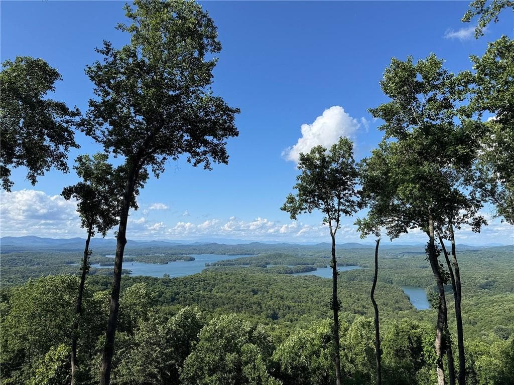 4 bedroom, 5 bathroom, 4,288 sq ft single family residence for sale at 970 Lakeview Drive, Blue Ridge, GA 30513
